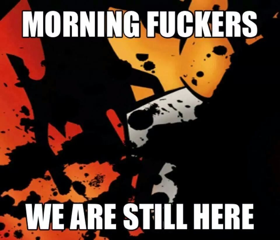 Thuder dome morning fuckers we are still here