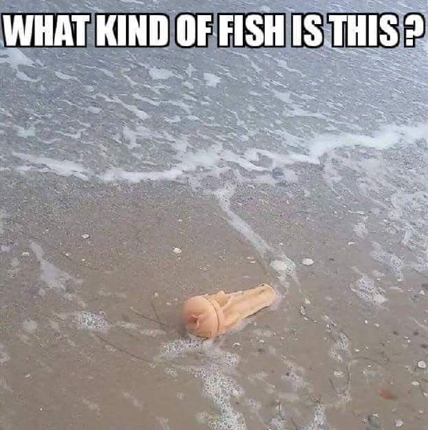 Fish pocket meme