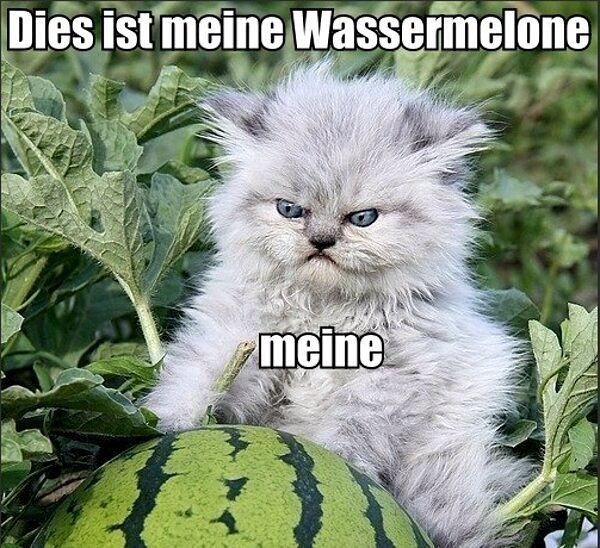 Meine watermelon meme